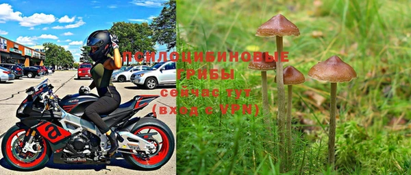 таблы Абинск