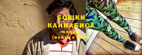 твердый Михайловск
