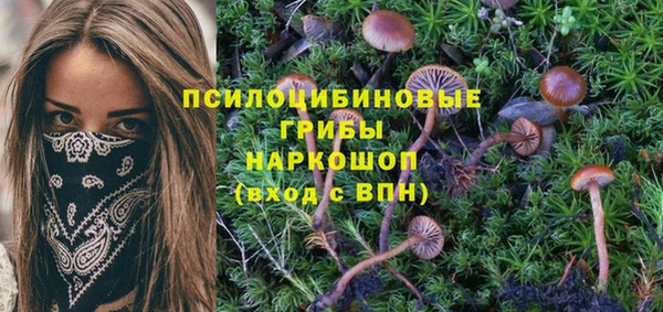 ALPHA PVP Михайловка
