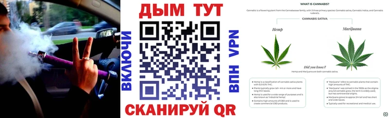 Бошки марихуана конопля  Разумное 